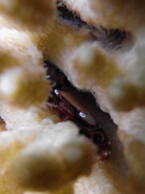 M0057720.JPG