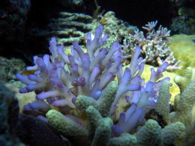 M0049950.JPG