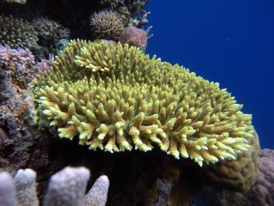 M0049147.JPG
