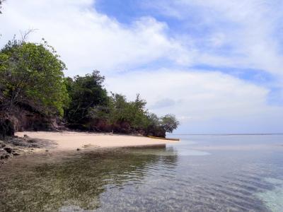 M0050002.JPG
