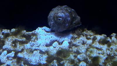 20180527_135309.jpg