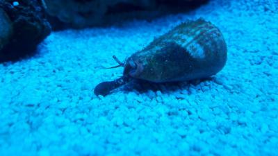 20180527_140337.jpg