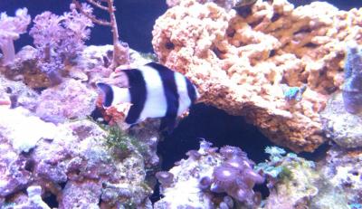 IMG_20180520_232412.jpg