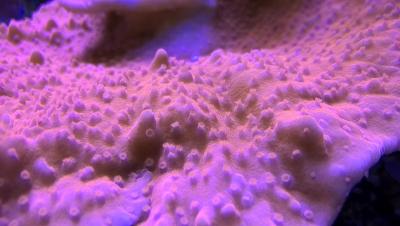 WP_20190530_15_00_08_Pro.jpg