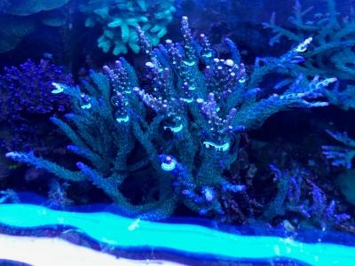 IMG_0026.JPG