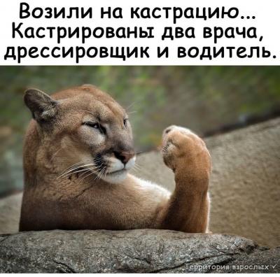 IMG_0006.jpg