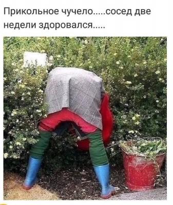IMG_0010.jpg