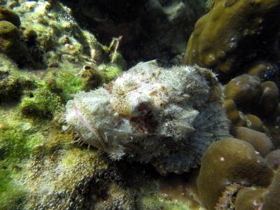 M0039460.JPG