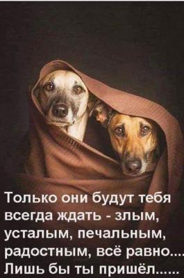 FB_IMG_1558950610376.jpg
