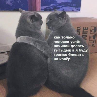 FB_IMG_1559296128161.jpg