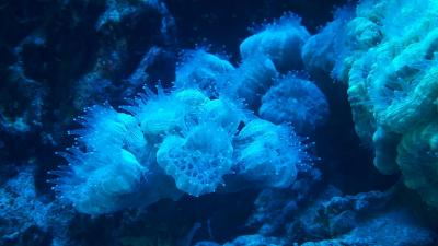 20190514_104559.jpg