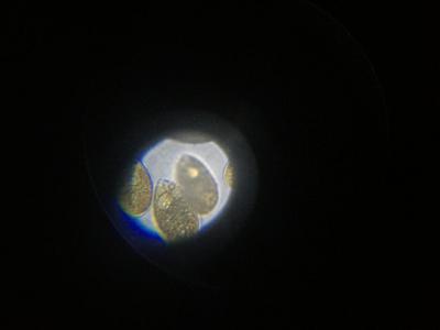 IMG_1210.JPG