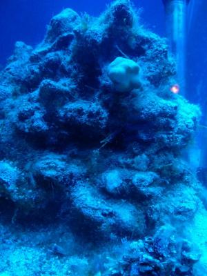 IMG_20200518_012837.jpg