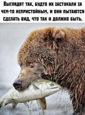 IMG_20200506_120141_746.jpg