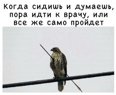 IMG_20200505_233202_453.jpg