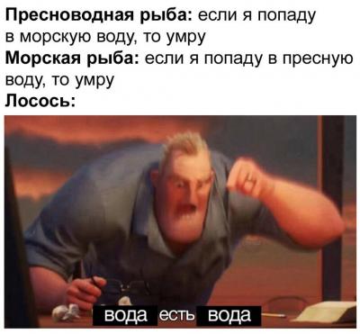 lrQ7jQjt1HM.jpg