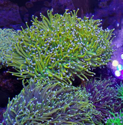 20210519_141636.jpg
