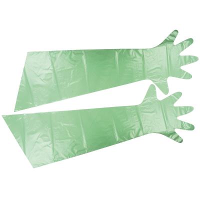 Tunze-Protective-gloves-0220.510-optimized.jpg