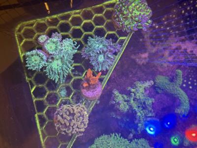 image-13-05-25-09-18-6 (1).jpeg