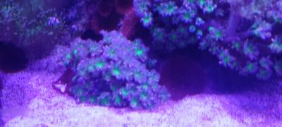 IMG_20250505_150249_1.jpg