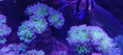 IMG_20250505_150258.jpg