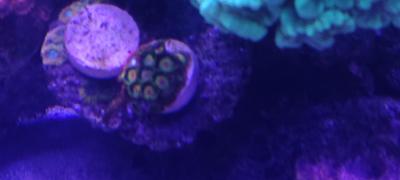 IMG_20250505_150320.jpg