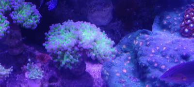 IMG_20250505_150256.jpg