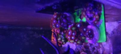 IMG_20250505_150400.jpg