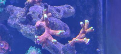 IMG_20250324_160513.jpg