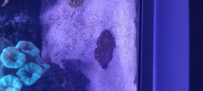 IMG_20250505_153635.jpg