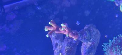 IMG_20250324_160524.jpg