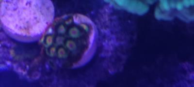 IMG_20250505_150317.jpg