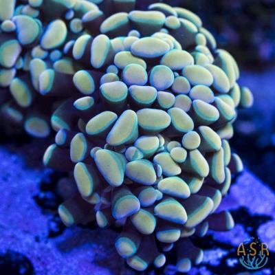 2b7cb2fc-b0db-4d82-8175-cfb12ea278f3.jpg
