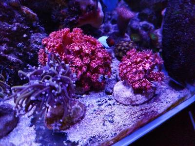 IMG_20250510_172643.jpg