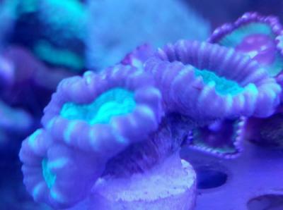 20250517_120330.jpg