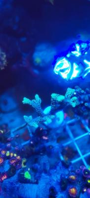 IMG_20250513_215848.jpg