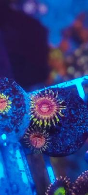 IMG_20250514_162053.jpg