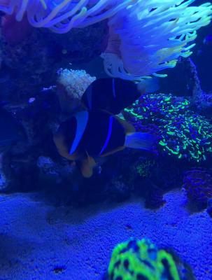 6F013018-2128-4DBF-97D7-7A234072F9A5.jpeg