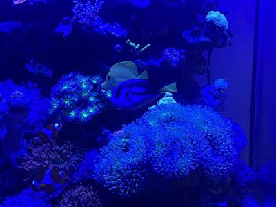 IMG_5963.jpeg
