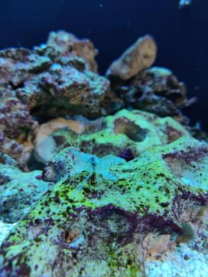 IMG_20260515_235023_396.jpg