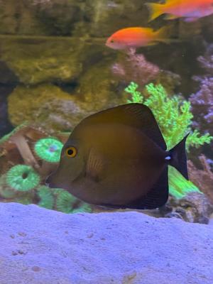 IMG_7316.JPG