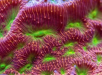 A04_5362_.jpg