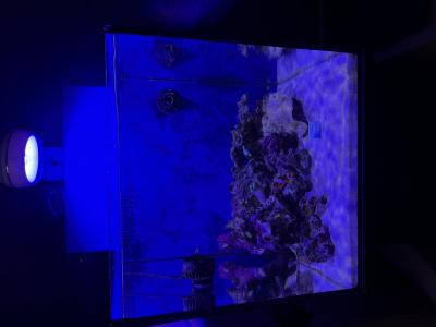 IMG_5669.jpeg