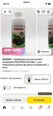 IMG_5332.png