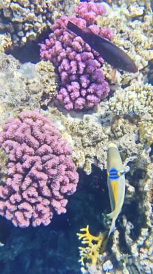 IMG_20260512_104504.jpg