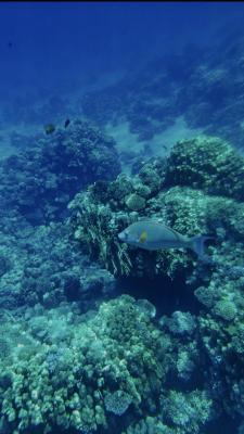 IMG_20260512_104630.jpg