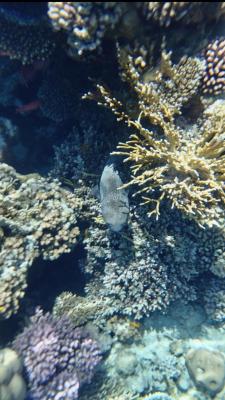 IMG_20260512_104621.jpg