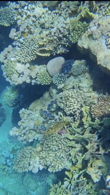 IMG_20260512_104448.jpg