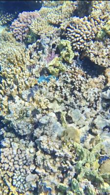 IMG_20260512_104357.jpg