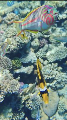 IMG_20260512_104541.jpg